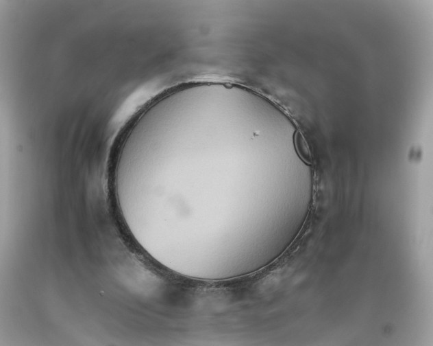 X0000091080296200709041247