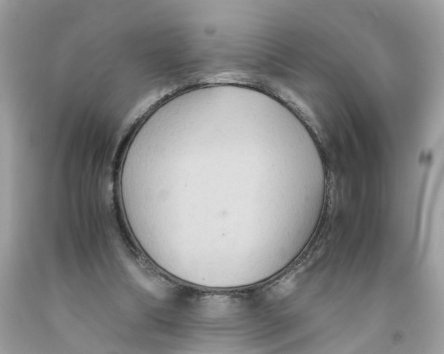 X0000091080298200709041247