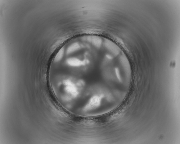 X0000091080299200709041247