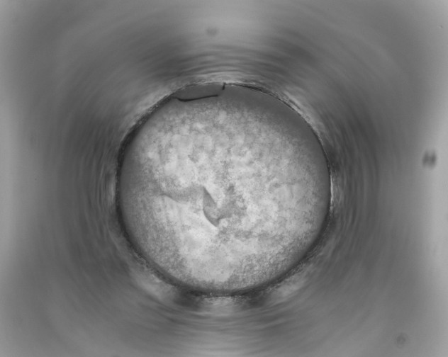 X0000091080301200709041247