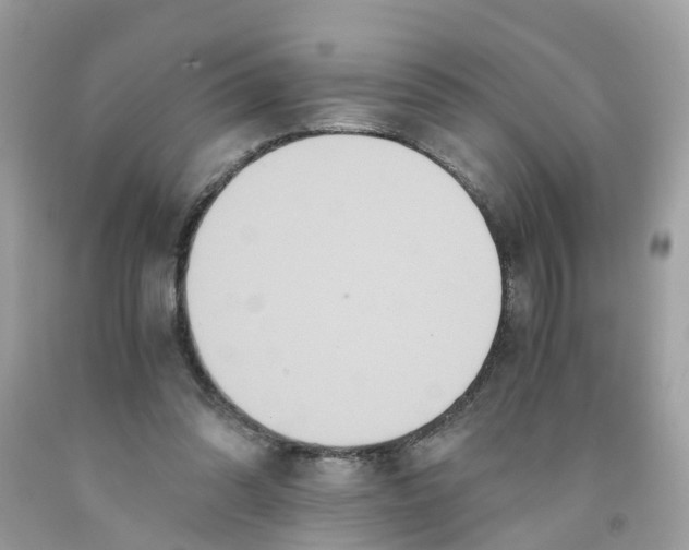 X0000091080302200709041247