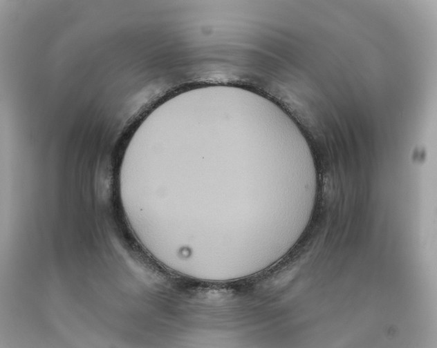 X0000091080304200709041247