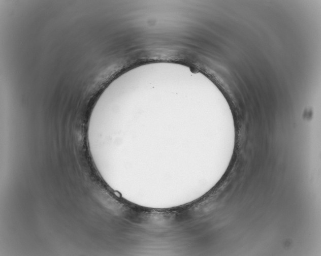 X0000091080305200709041247