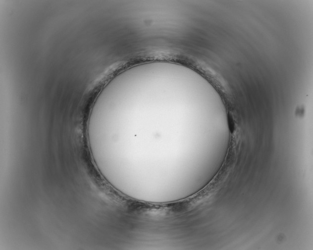 X0000091080306200709041246