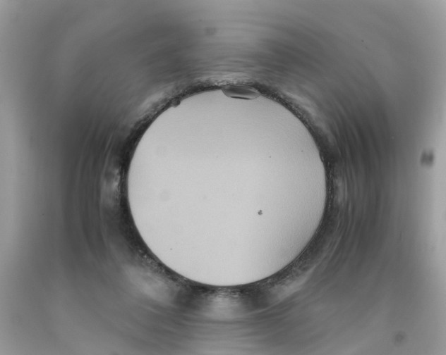 X0000091080308200709041246