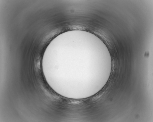 X0000091080310200709041246