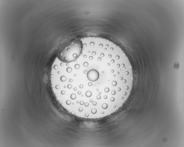 X0000091080311200709041246