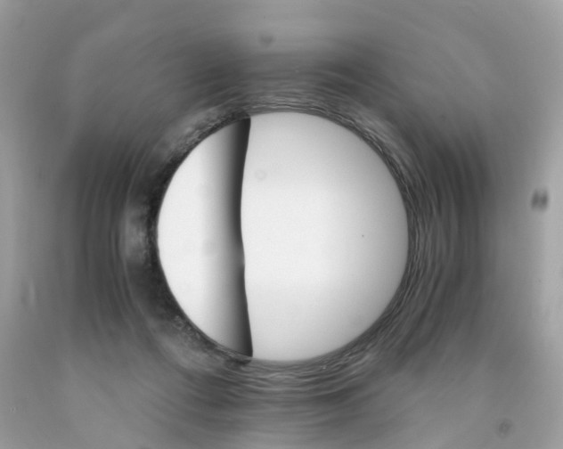 X0000091080312200709041246