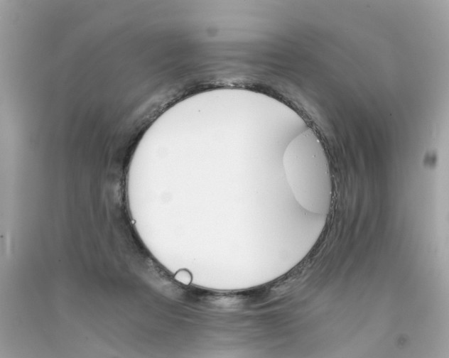 X0000091080313200709041246