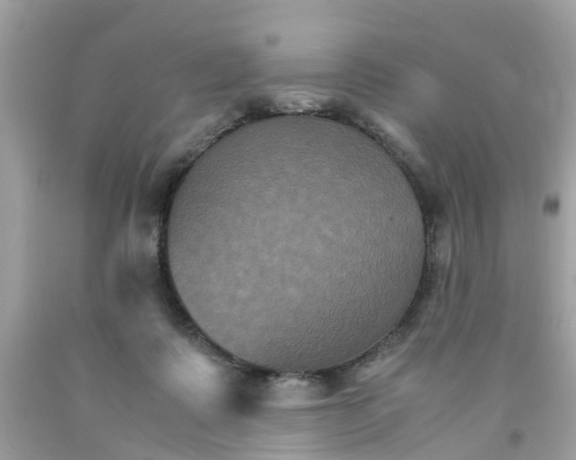 X0000091080315200709041246