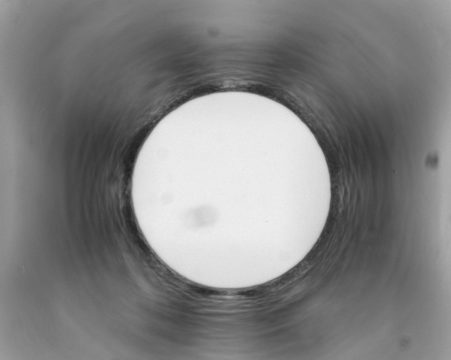 X0000091080316200709041246