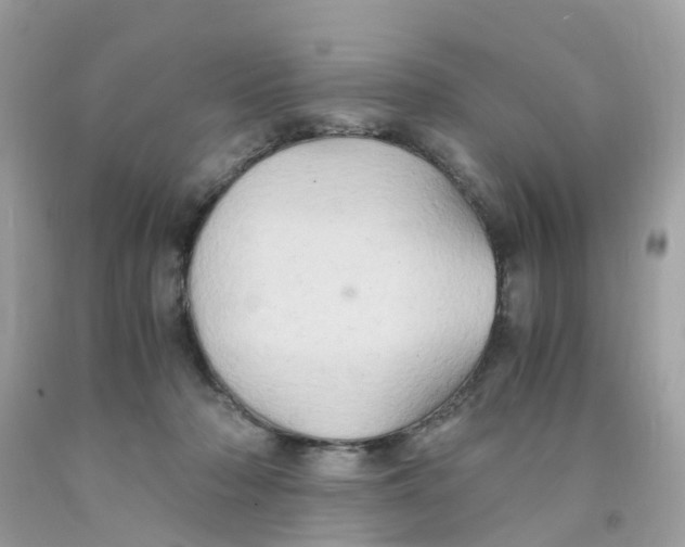 X0000091080318200709041246