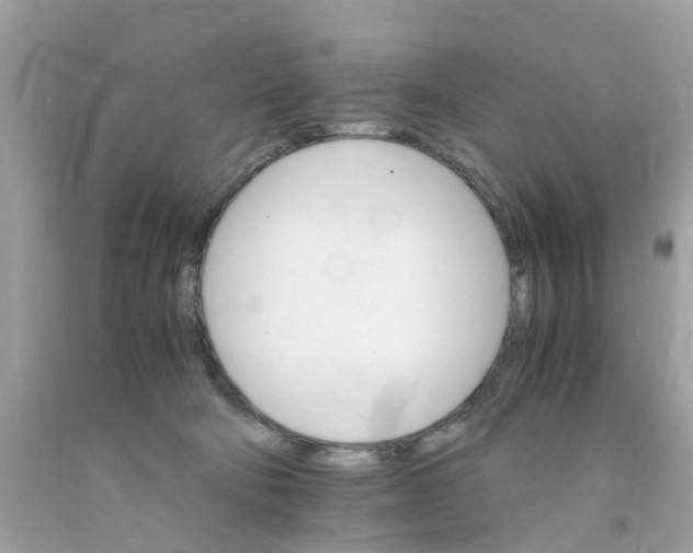 X0000091080322200709041246