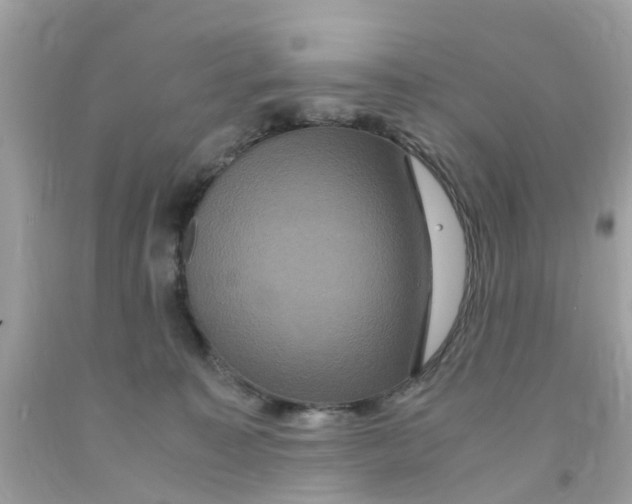 X0000091080323200709041246