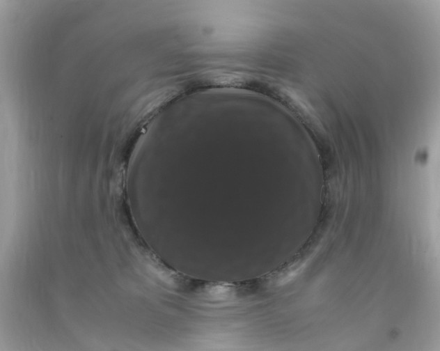 X0000091080325200709041246