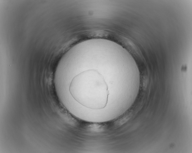 X0000091080326200709041246