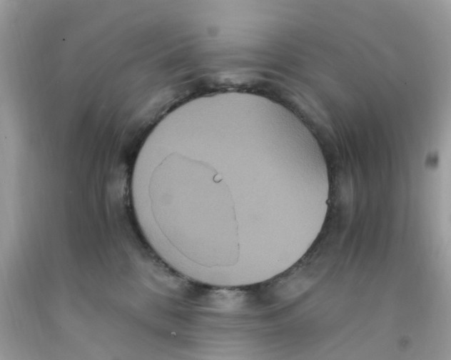 X0000091080328200709041246