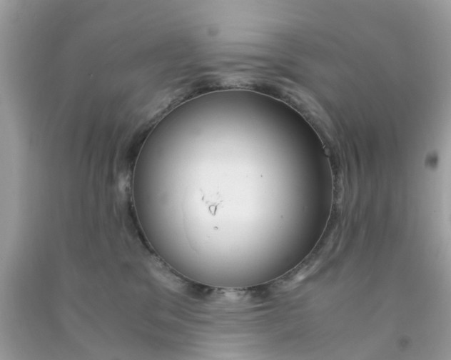 X0000091080329200709041246