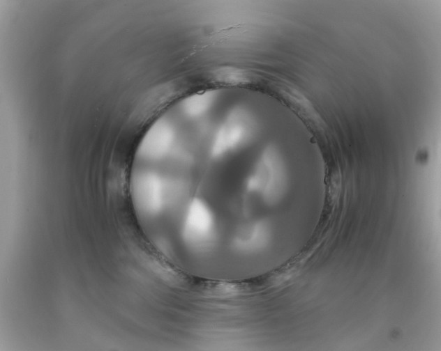 X0000091080330200709041246