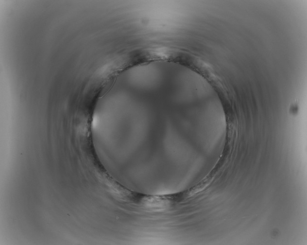 X0000091080331200709041246