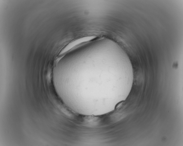 X0000091080334200709041246