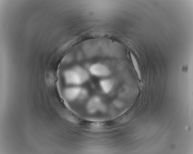 X0000091080335200709041246