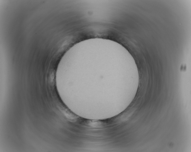 X0000091080336200709041246