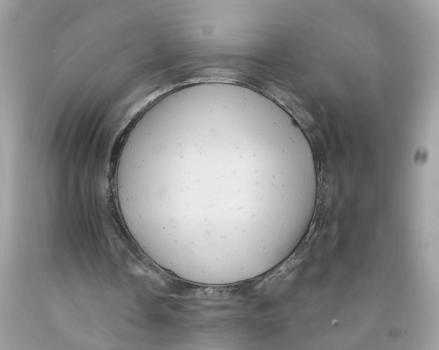 X0000091080338200709041245