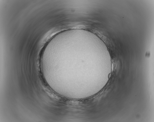 X0000091080339200709041245