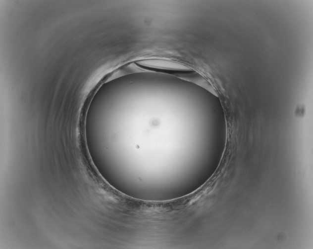 X0000091080340200709041245