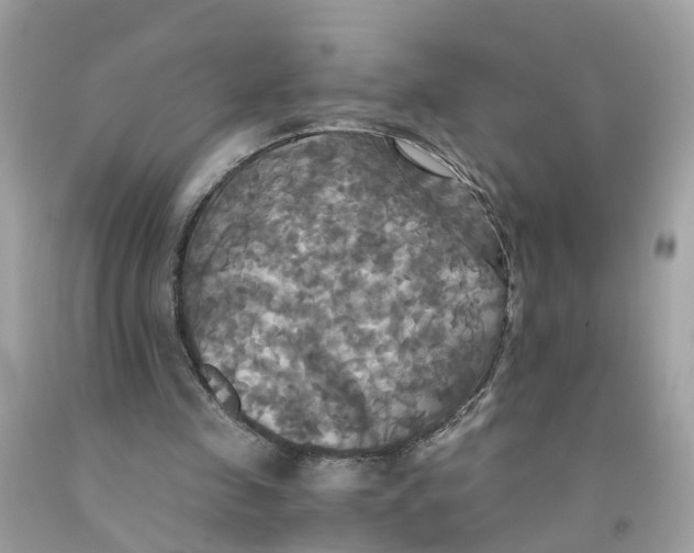 X0000091080341200709041245