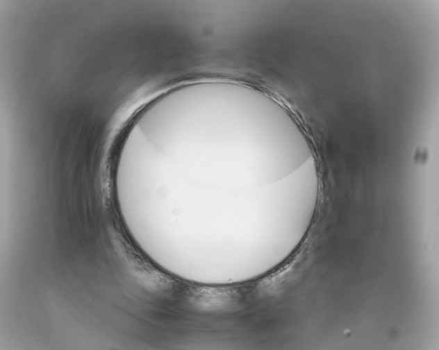 X0000091080343200709041245