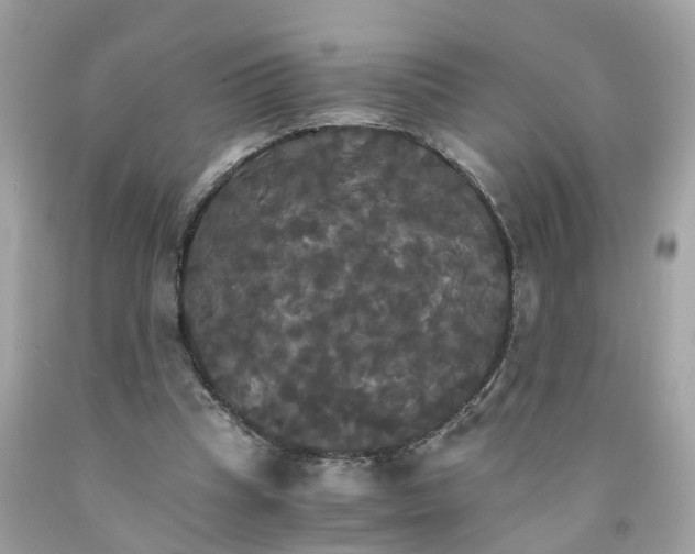 X0000091080345200709041245