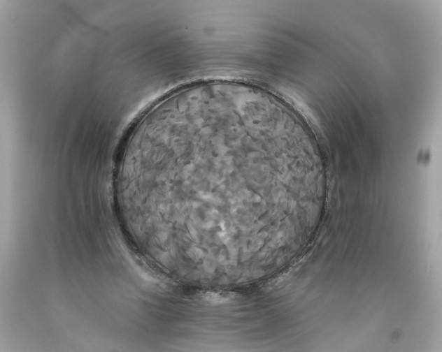 X0000091080346200709041245