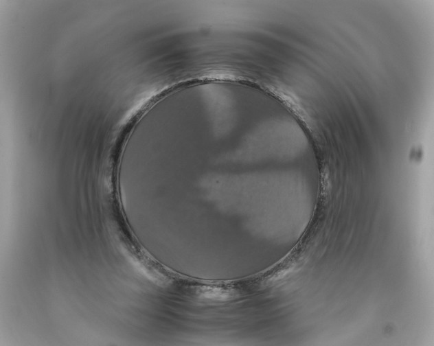 X0000091080347200709041245