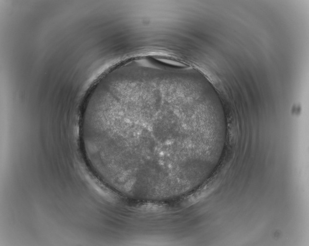 X0000091080350200709041246