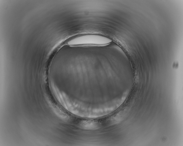 X0000091080351200709041246