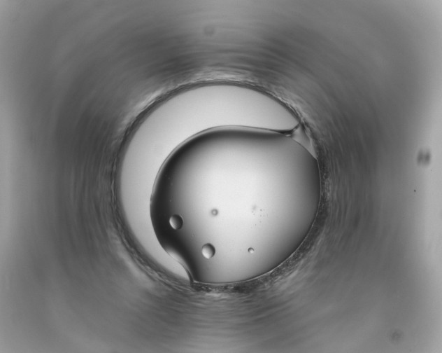 X0000091080352200709041246