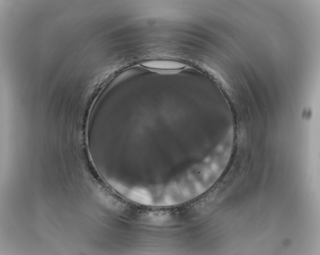 X0000091080353200709041246