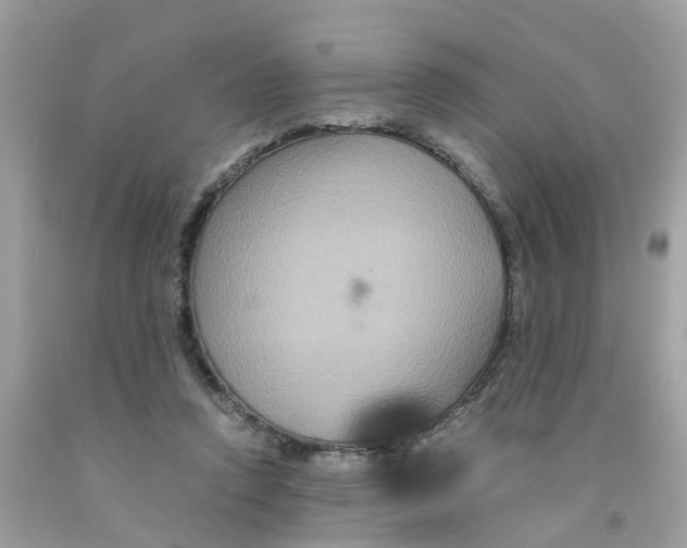 X0000091080354200709041246