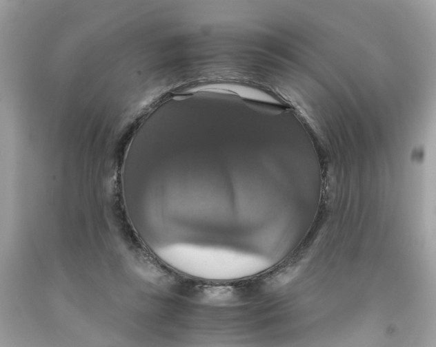 X0000091080355200709041246