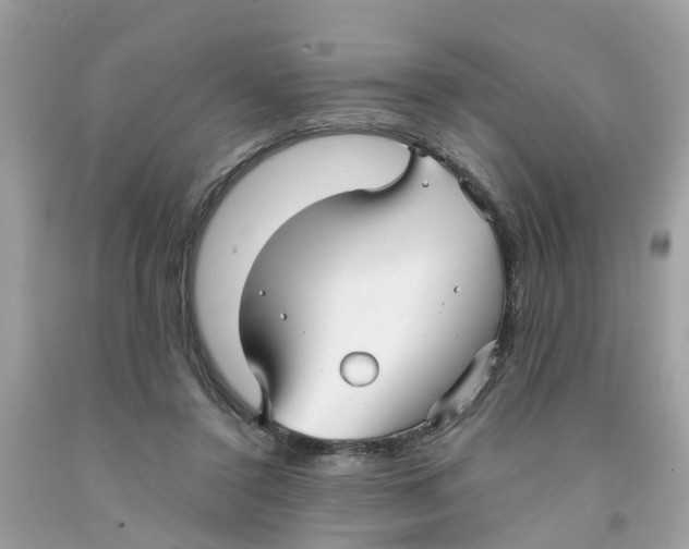 X0000091080356200709041246