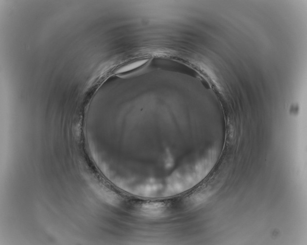 X0000091080357200709041246