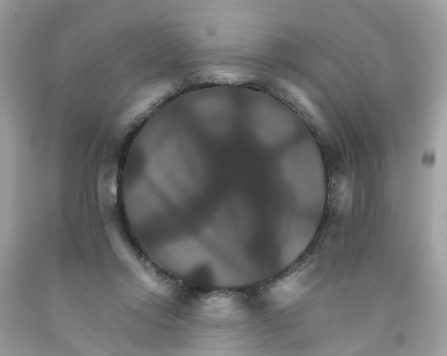 X0000091080358200709041246