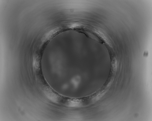 X0000091080359200709041246