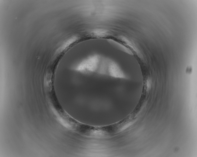 X0000091080360200709041246