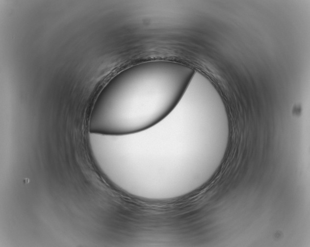 X0000091080362200709041246