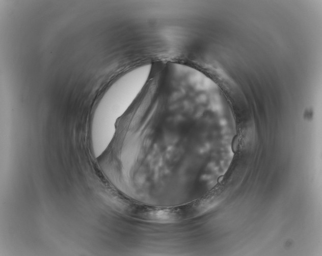 X0000091080365200709041246