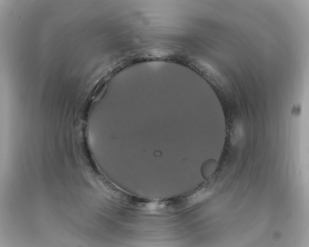 X0000091080366200709041246