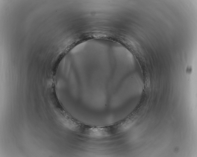 X0000091080367200709041246